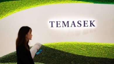 Temasek و Warburg Pincus إلى ما يصل إلى 5