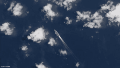 1 17884531