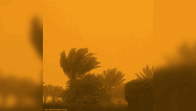 أثرت العاصفة على حركة المرور