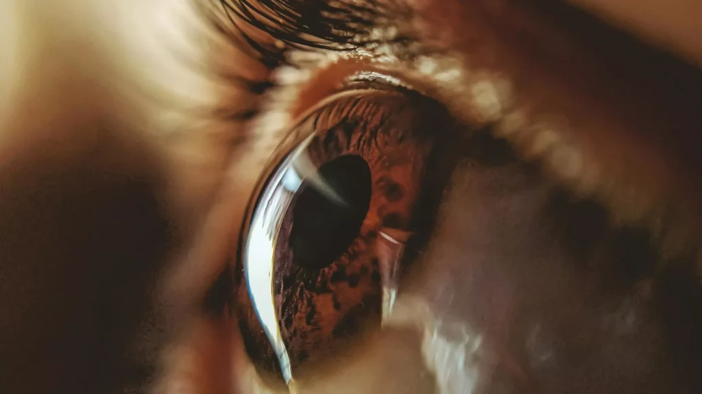 مفاجأة صادمة.. لون شائع غير حقيقي ومجرد "خدعة بصرية" © Photo / unsplash/Umesh Soni