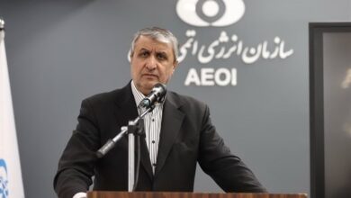 رئيس منظمة الطاقة الذرية الإيرانية "محمد اسلامي"