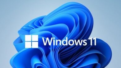 Windows 11