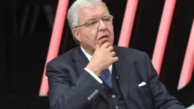 نهاد المشنوق