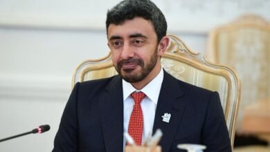 وزير الخارجية الإماراتي-سبوتنيك