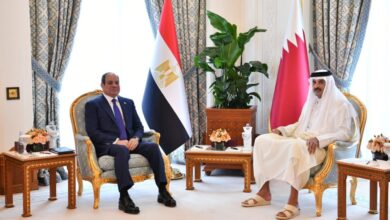 لقاء السيسي وأمير قطر