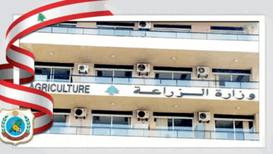 وزارة الزراعة