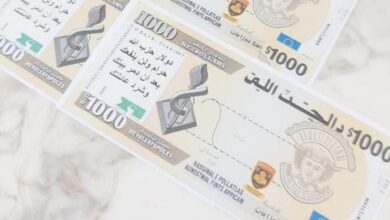 بالصورة: مناشير إسرائيلية في الجنوب اللبناني تحاكي أوراقًا نقدية وتحمل رسائل ضد "حزب الله"