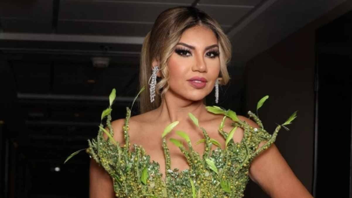 كيف رد محامي بوسي شلبي على نجل محمود عبد العزيز؟ بوسي شلبي