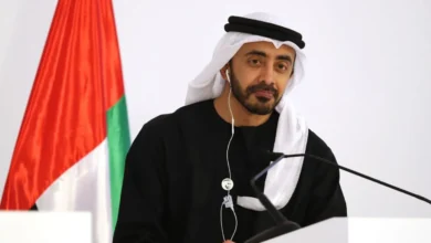 وزير الخارجية الإمارتي عبدالله بن زايد.